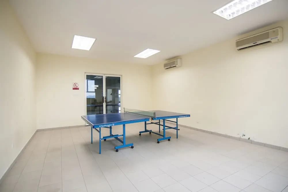231TR - photo 17