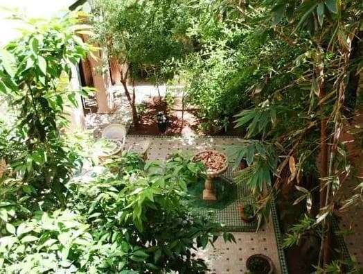 Riad Zouina - photo 32
