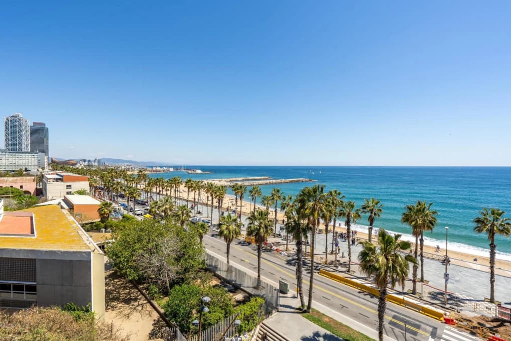 Kronos on the beach Suite 2 - photo 4