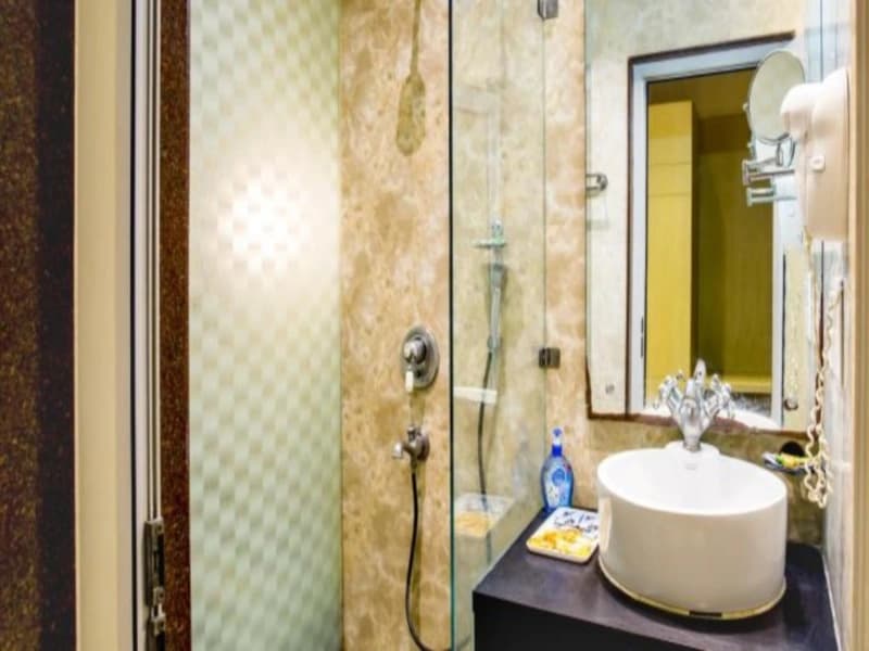 Hotel Arpit Palace - photo 8