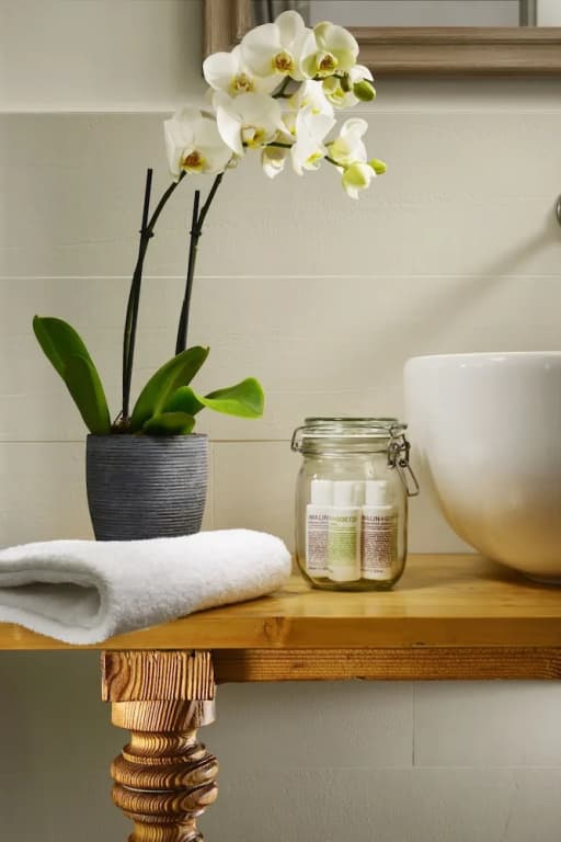 Lux Properzio Apartment - photo 33