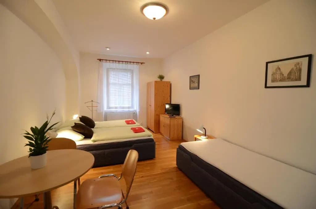 Apartments Karlin - photo 16