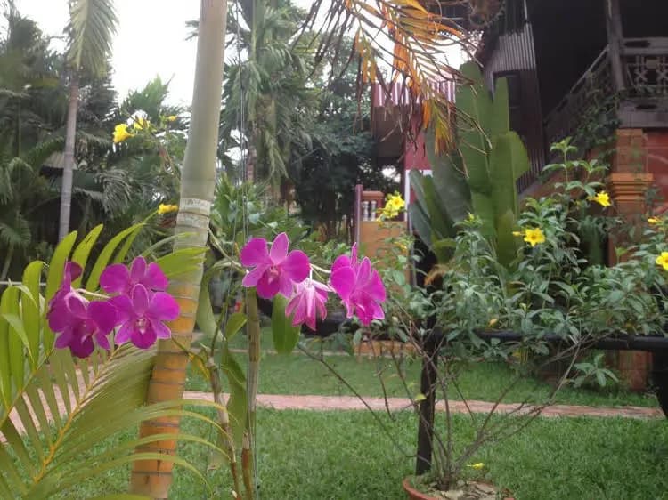 Molina Hotel - photo 7
