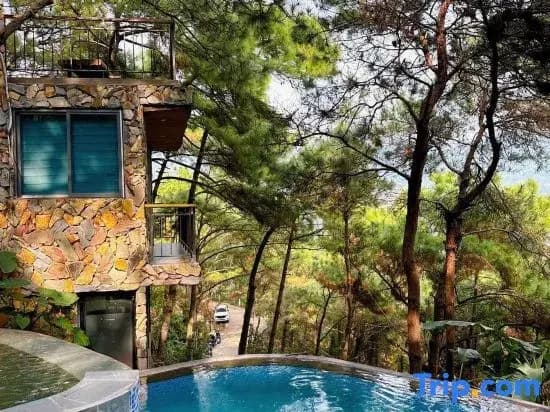 DeBay Retreat - Little Da Lat Chill Villa - photo 2