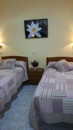 Hostal Angelines - photo 6