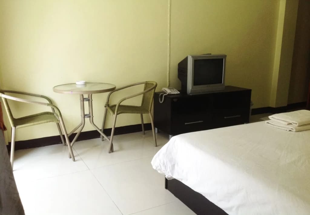 BR Guest House - photo 6