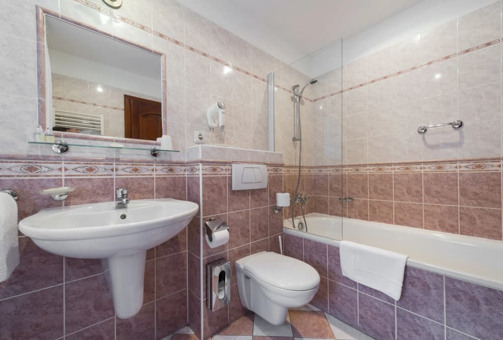 Hotel Cerny Slon - photo 8
