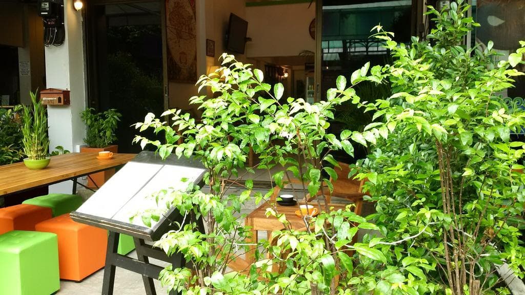 Lime House - photo 10