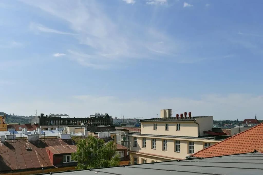 Comfort Central Apartment, 4Bdrm, 2Bthrm - photo 19
