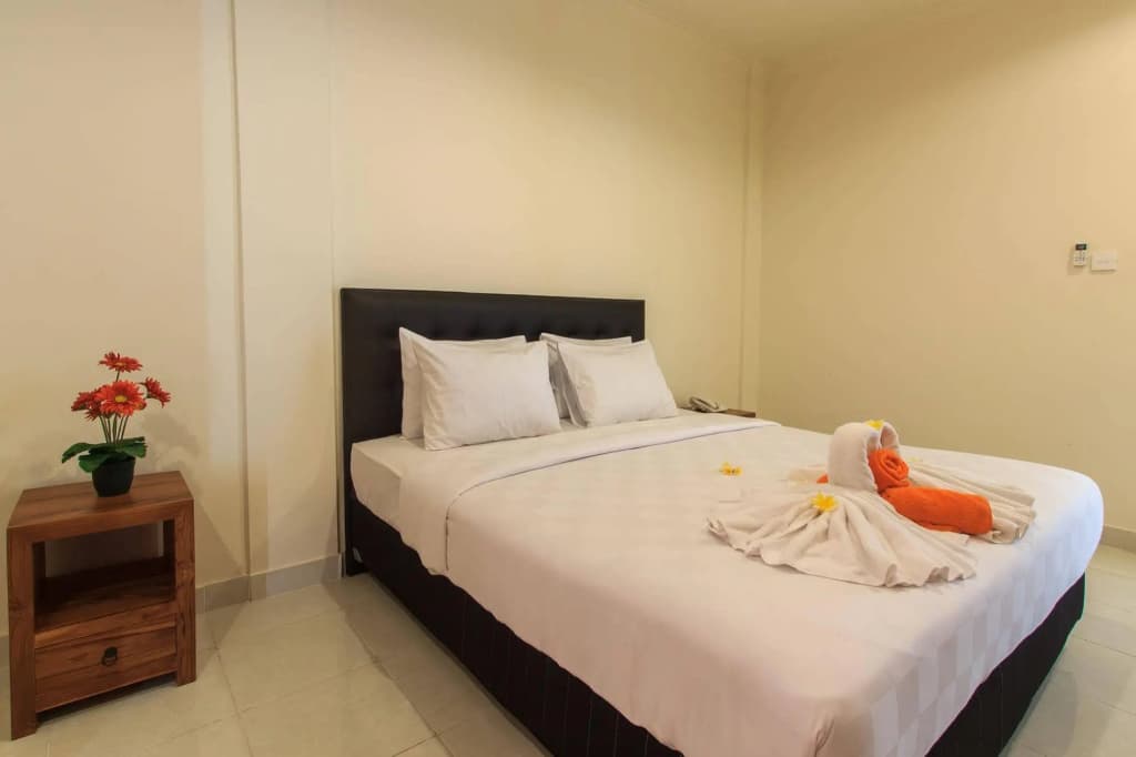 Ivanka Airport Inn - photo 7