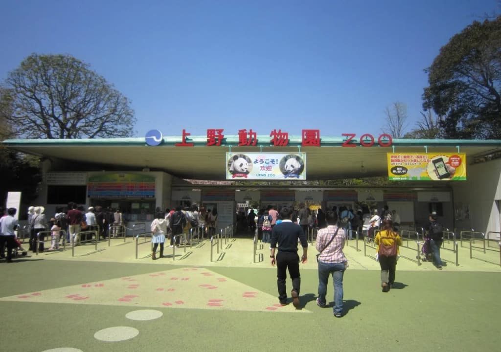 Kinuya Honkan - photo 13