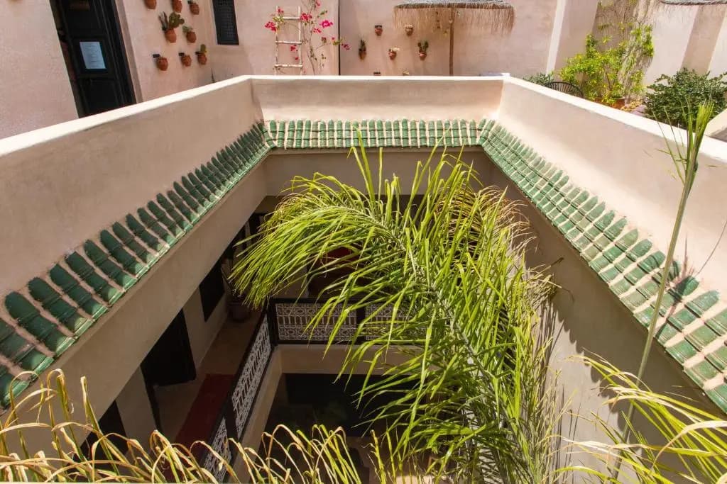 Riad Kadi - photo 1