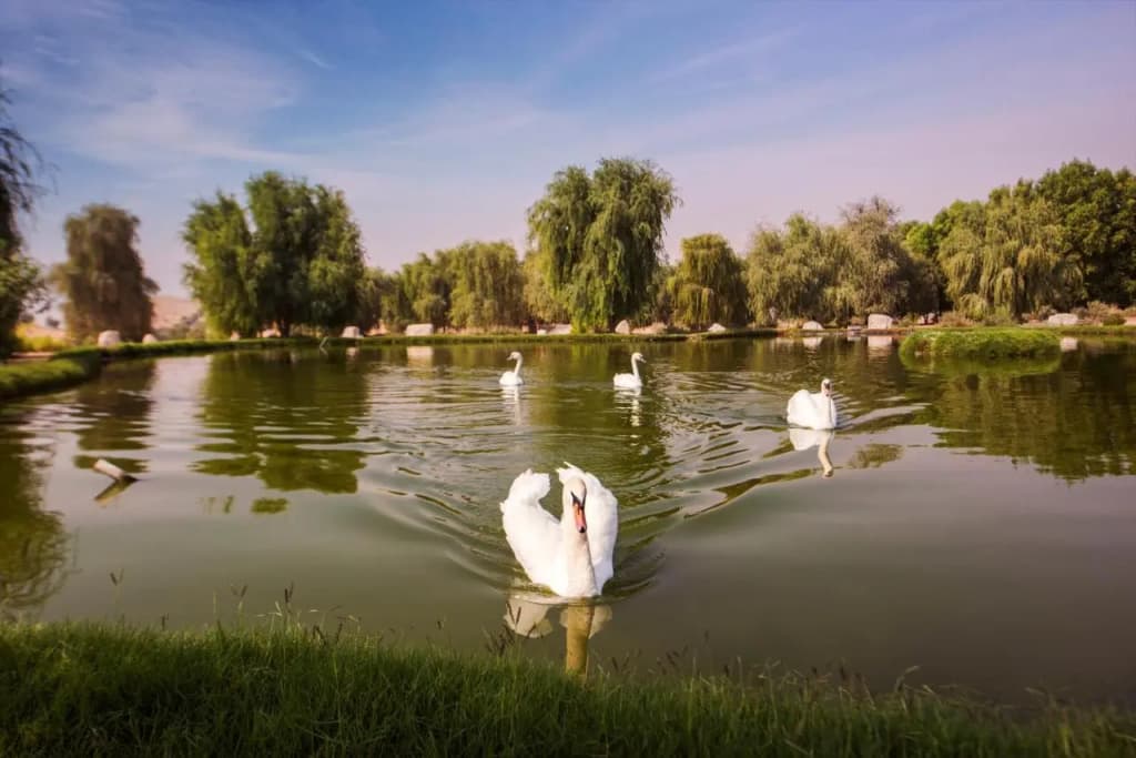Telal Resort, Al Ain - photo 45