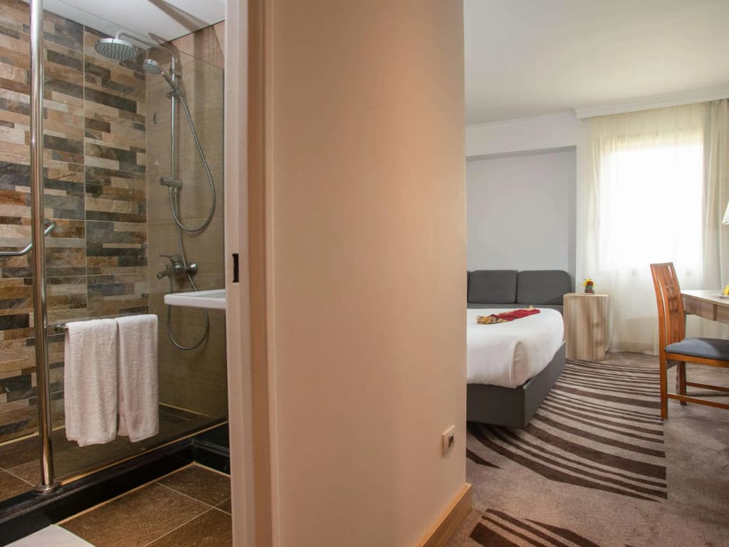 Novotel Cairo Airport - photo 41