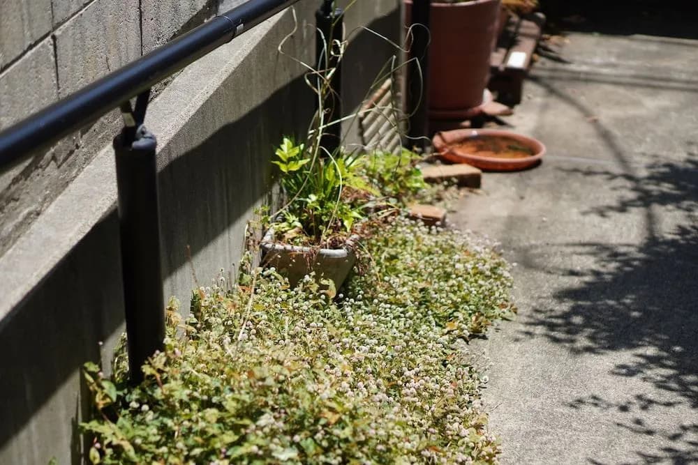 Shimokitazawa Akima - photo 11