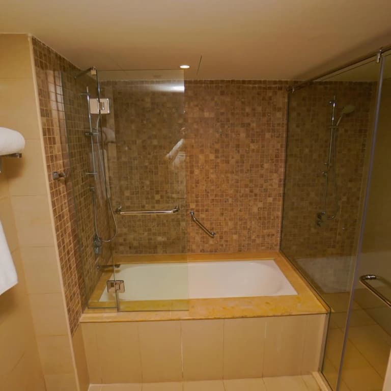 The Grand Lux - photo 31