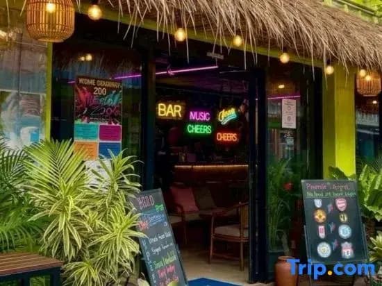 Discozoo Bar And Hostel - photo 4