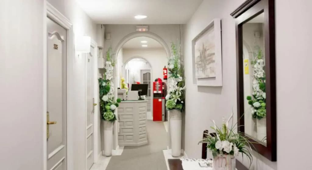 Hostal La Macarena - photo 13