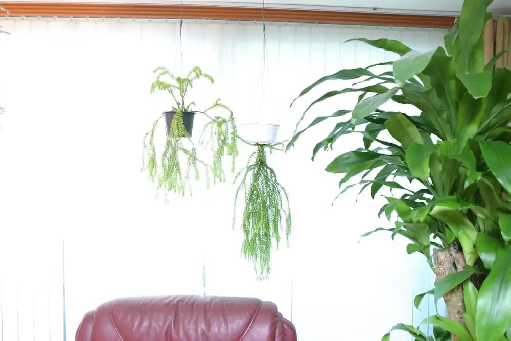 Refee House - photo 10