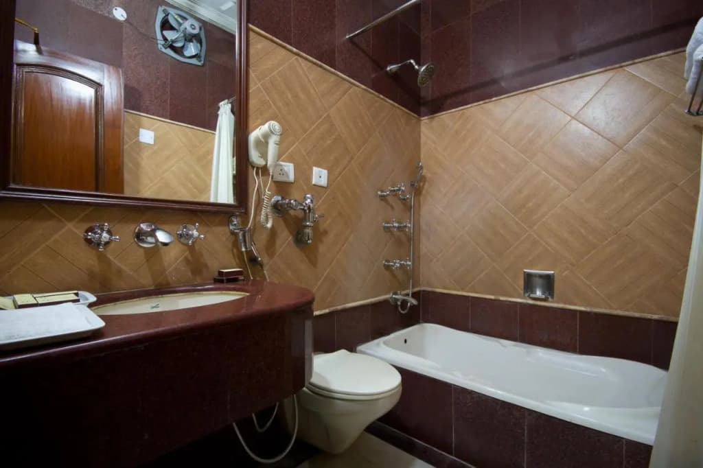 Hotel Sunstar Grand - photo 19