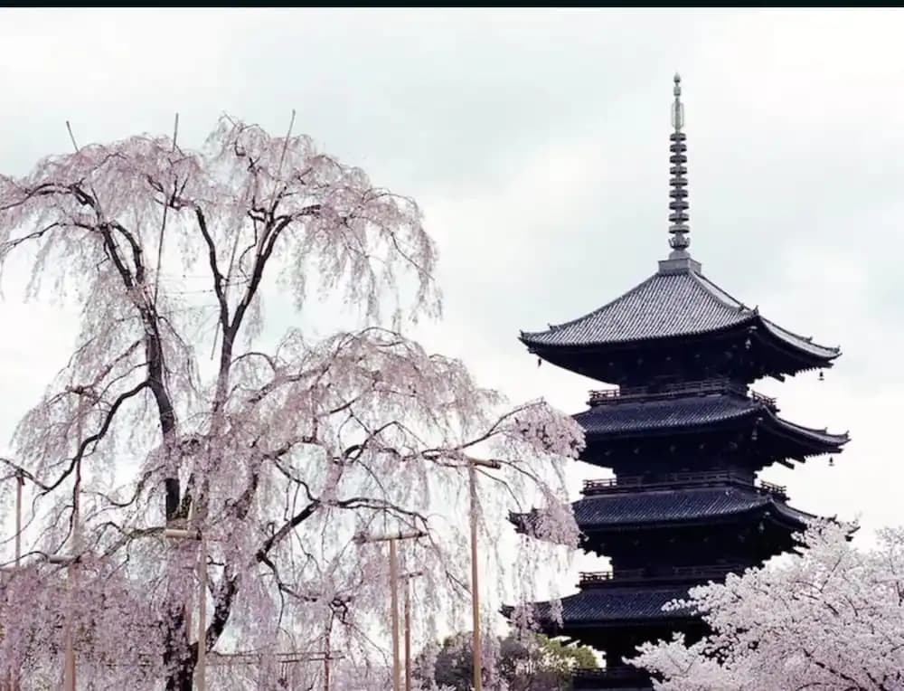 HANABI Kyoto - photo 10