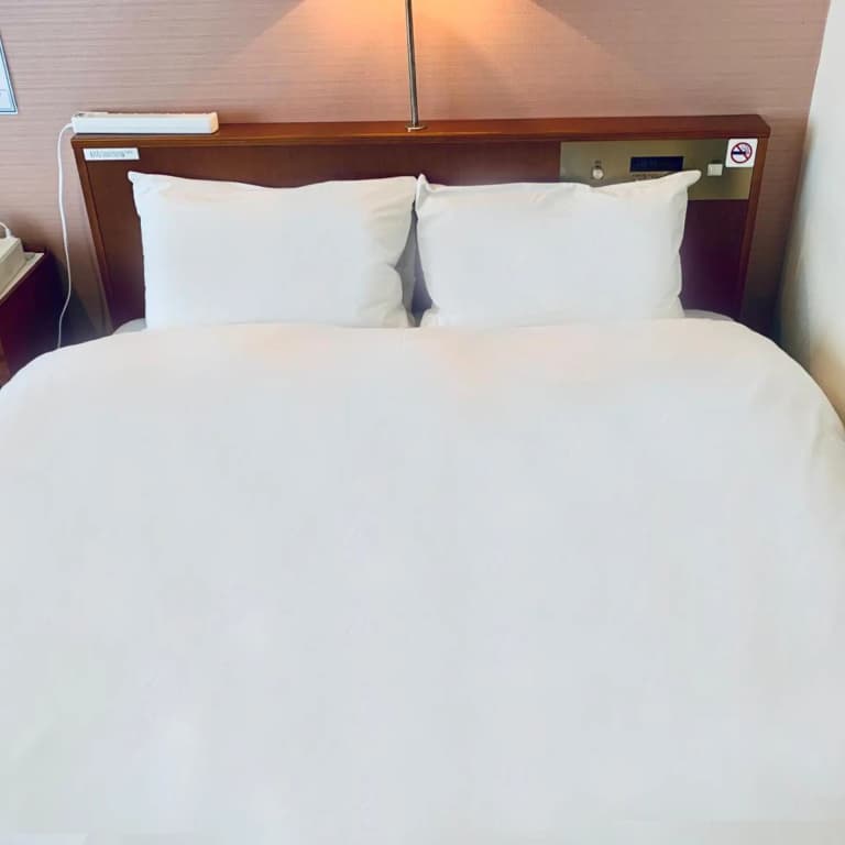 Tokyo Plaza Hotel - photo 45