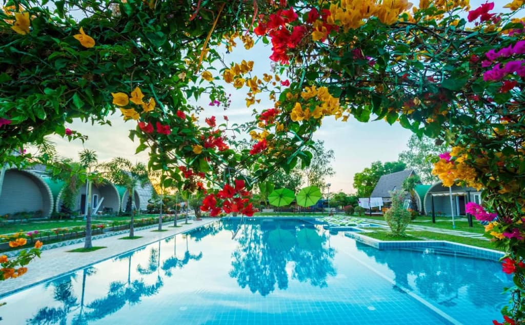 Garden Flower Resort - photo 10