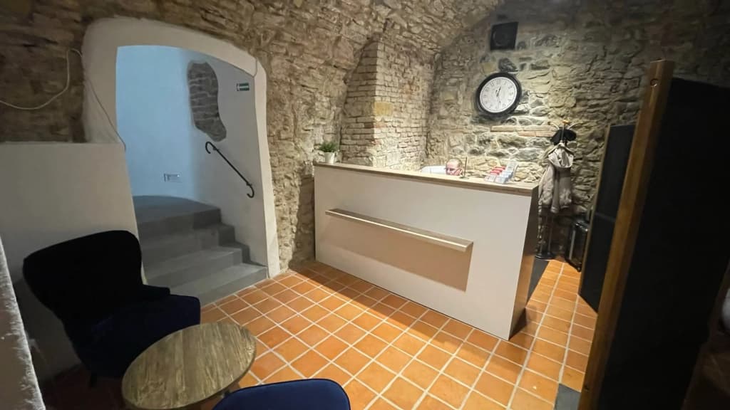Templova Apartments - photo 2