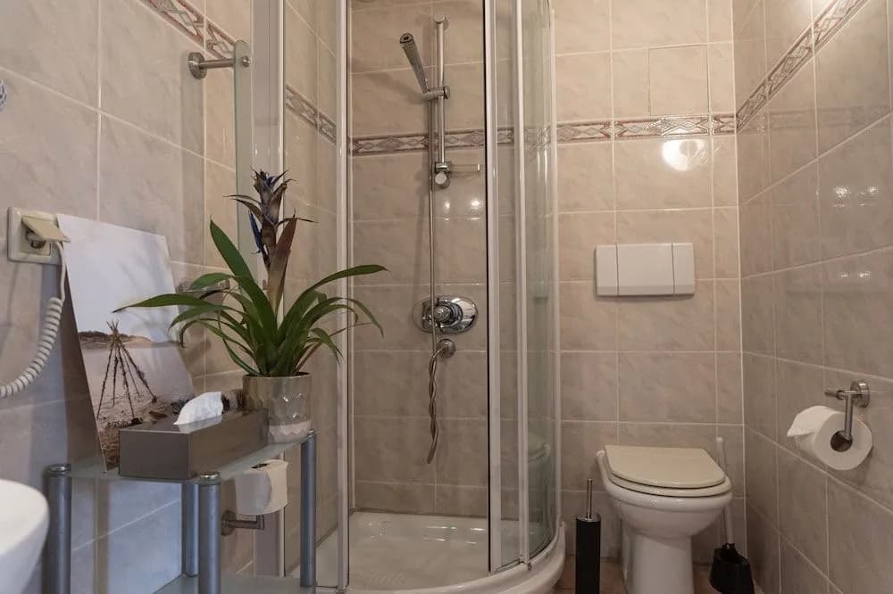 Hotel Petit - photo 10