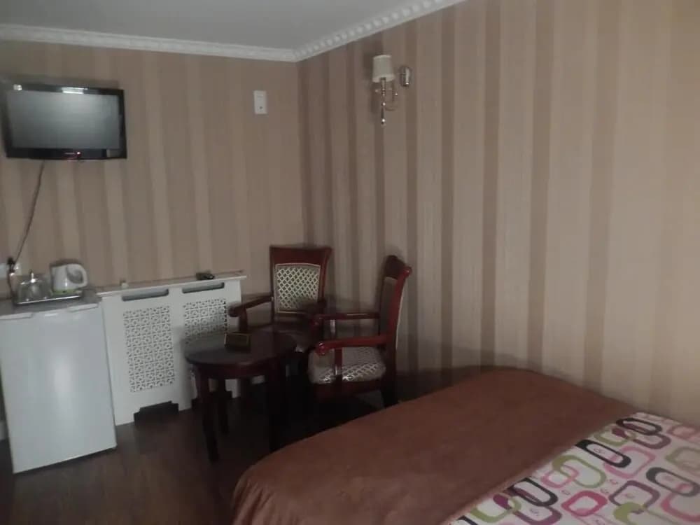 Hotel Anata - photo 17