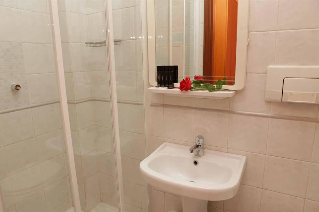 Hotel Pisa - photo 9