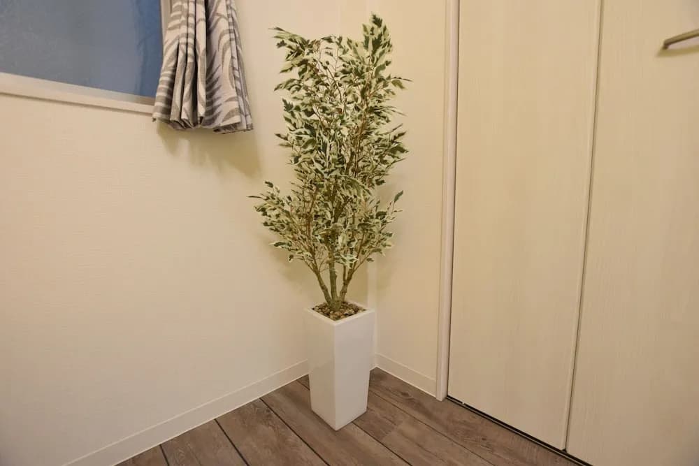 RS-Sumiyoshi Apartment - main photo