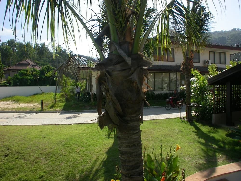 Surin Springs Villa 6 by PIPS - photo 10