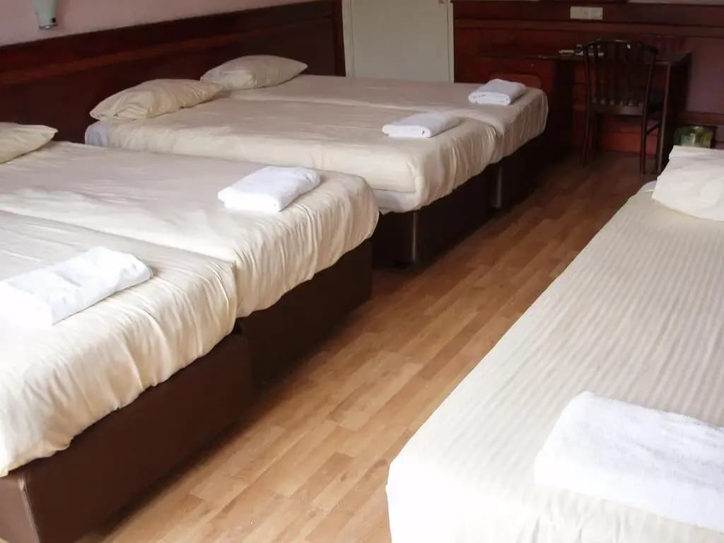 Hotel Manofa - photo 21