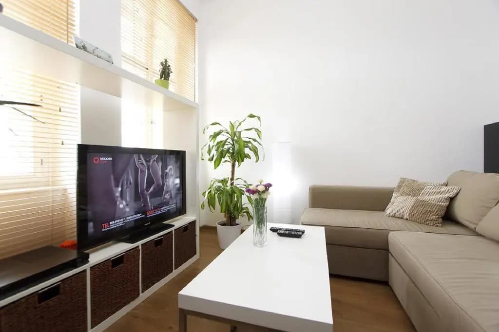 Radlicka Apartments - photo 4