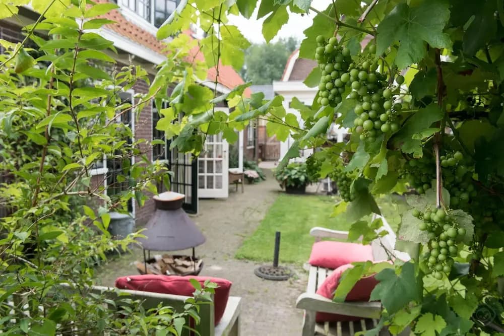 The Lazy Lodge - photo 17