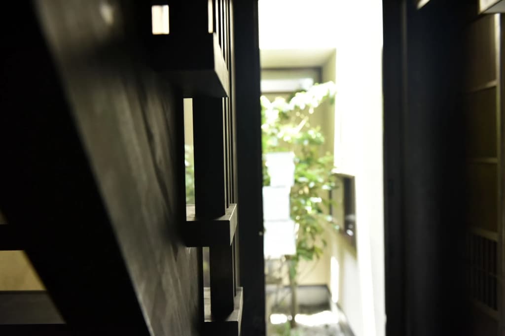 SHIBASHI Umeyacho - photo 16