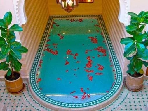 Riad Rabahsadia - photo 11
