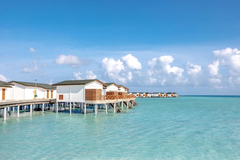 Joy Island Hotel - photo 11