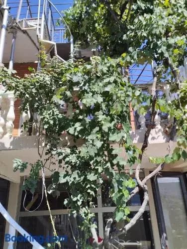 New Tbilisi Hostel - photo 42