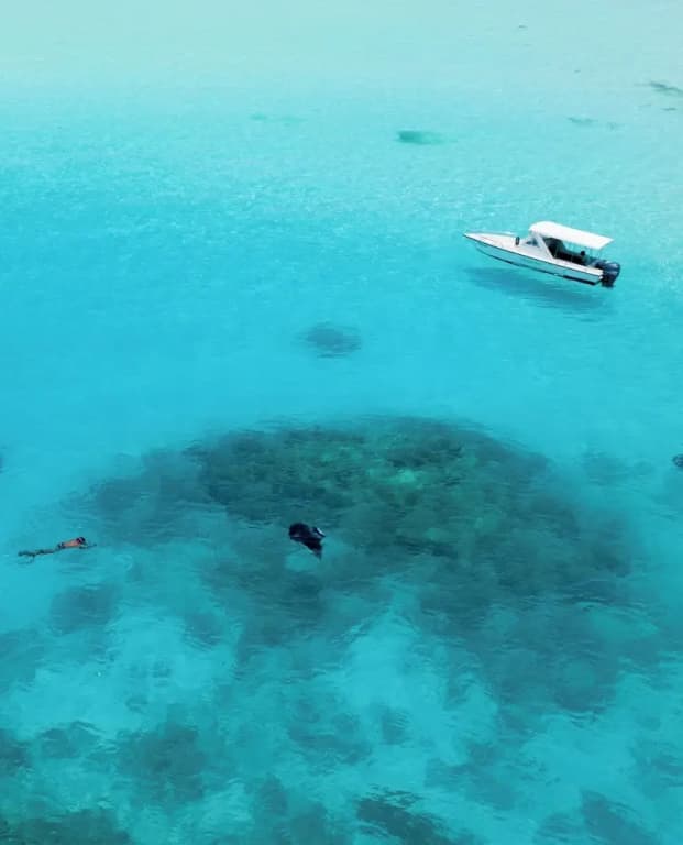 Ocean Pearl Maldives - photo 32