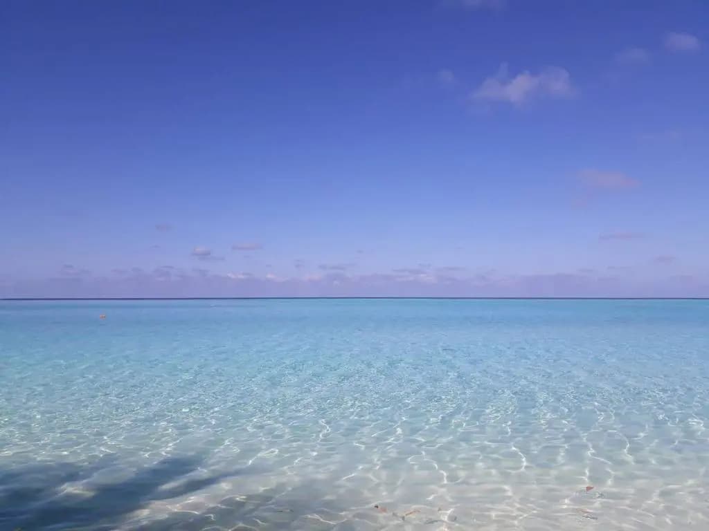 Thoddoo White Sand Inn - photo 15