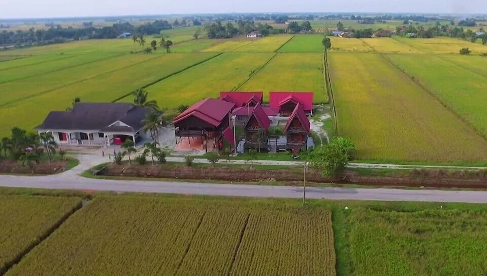 D'Sawah Bendang Homestay - photo 6