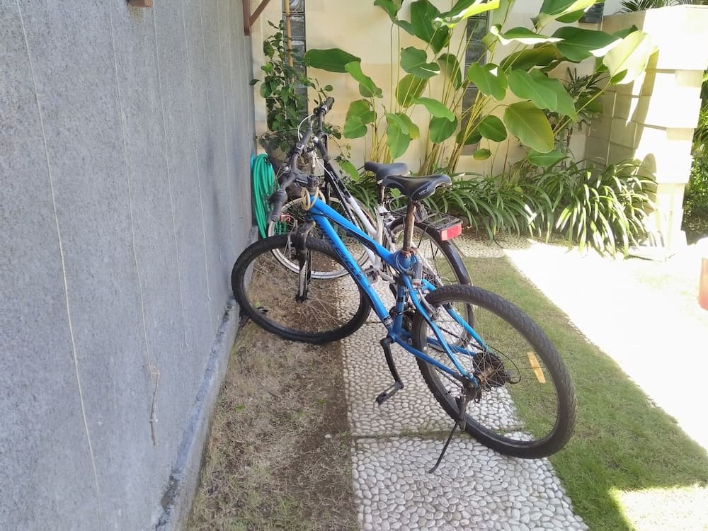 Sunshoot Villa Sandat - photo 49