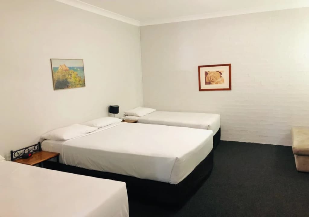 Campbelltown Colonial Motor Inn - photo 6