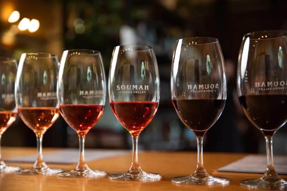 SOUMAH Wines - photo 13