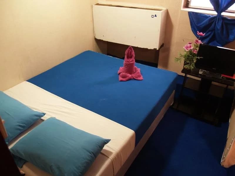 Eve's Guesthouse - photo 2