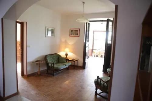 Grappoli di Sole - photo 28