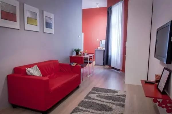 Large Central Apartment Fehérhajó - photo 2