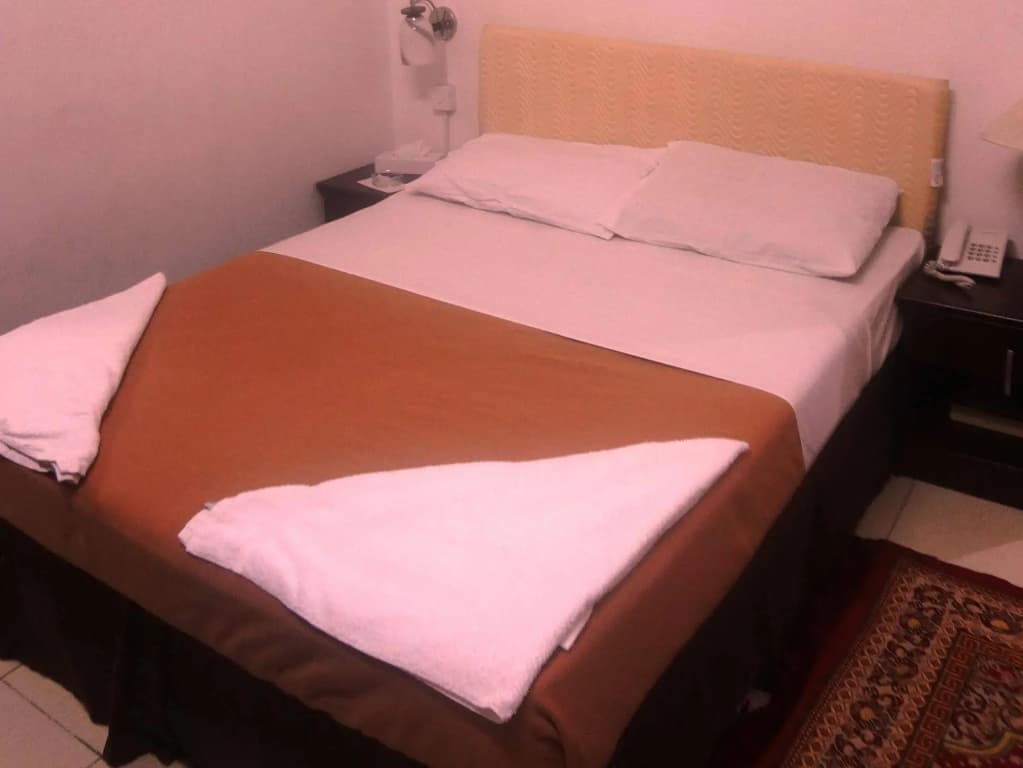 Sahil Hotel - photo 2